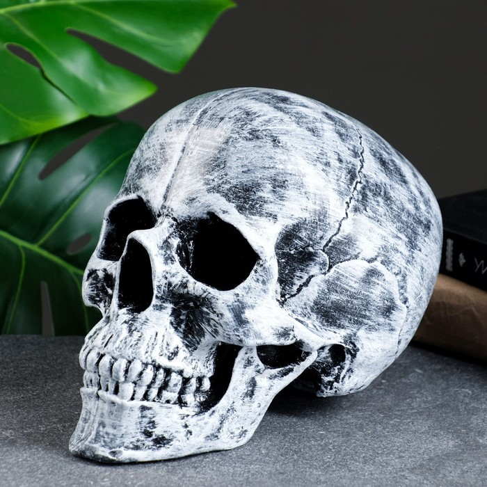 Копилка  Копилка "Череп" 16х13х22 см