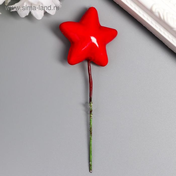 Декор для творчества Декор для творчества "Звёздочка" набор 10 шт 3,8х3,8 см