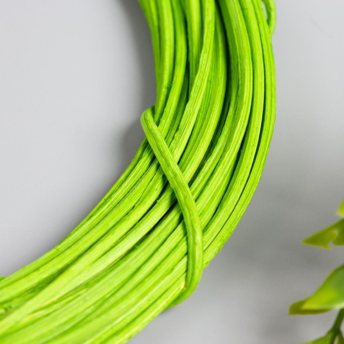 Кольцо ротанг для изготовления ловца снов Кольцо ротанг для изготовления ловца снов "Зелёный" d=20 см