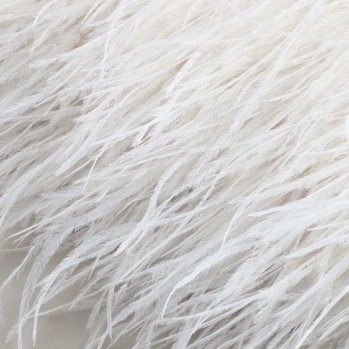 Тесьма с перьями страуса, 8-10 см, 5 ± 0,5 м, цвет белый Тесьма с перьями страуса, 8-10 см, 5 ± 0,5 м, цвет белый