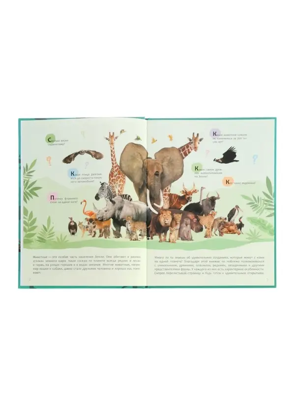 Ээнциклопедия  Ээнциклопедия "Животные"