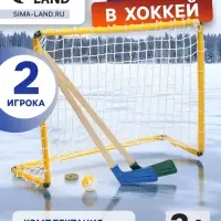 Набор для игры в хоккей (клюшка 2 шт., ворота, шайба, мяч), МИКС