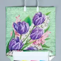 Пакет &laquo;Беатрис&raquo;, полиэтиленовый с пластиковой ручкой, 100 мкм 40&times;44 см