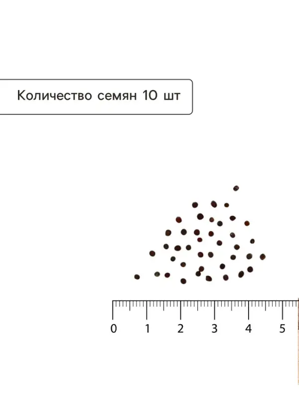 Семена Капуста белокочанная &laquo;Мегатон&raquo;, F1, 10 шт., &laquo;Престиж семена&raquo;