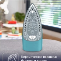 Паровой утюг Express Steam FV2867E0, с автоотключением