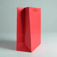 Пакет подарочный, упаковка, &laquo;Алый&raquo;, M 25.5&times;30&times;9 см, МИКС
