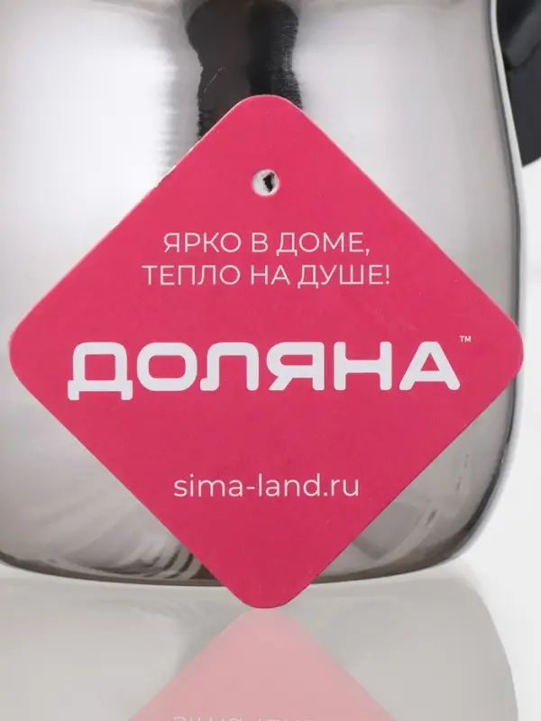 Турка Доляна &laquo;Индия&raquo;, 600 мл, нержавеющая сталь