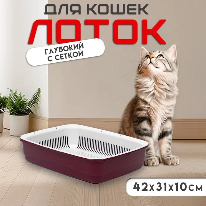 Лоток большой с сеткой Atlantis &laquo;Стандарт&raquo;, 42&times;31&times;10 см, красный