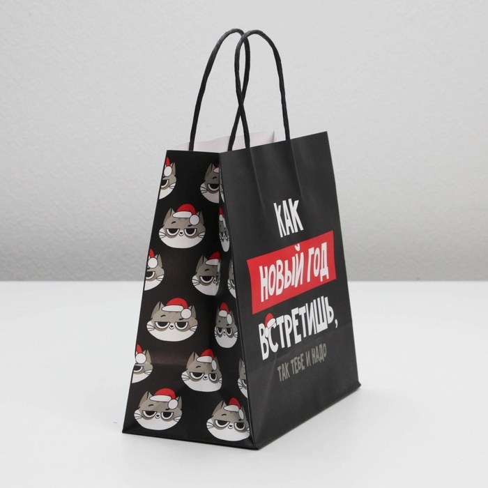 Пакет подарочный новогодний «Так тебе и надо», 22 х 22 х 11 см Пакет подарочный новогодний «Так тебе и надо», 22 х 22 х 11 см