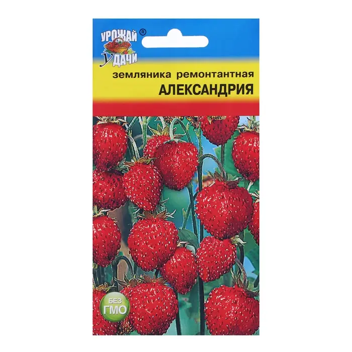 Семена Земляника  Семена Земляника "Александрия" рем.,0,04 гр