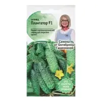 Семена Огурец "Плантатор", 7 шт Семена Огурец "Плантатор", 7 шт