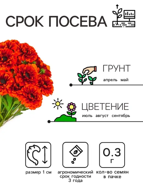 Семена цветов Календула махровая  Семена цветов Календула махровая "Ред виз блэк центр", 0,3 г