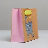 Пакет подарочный крафтовый, упаковка, «Несу радость», S 15 х 12 х 5.5 см Пакет подарочный крафтовый, упаковка, «Несу радость», S 15 х 12 х 5.5 см