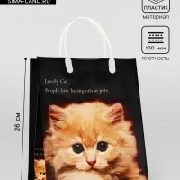 Пакет &laquo;Котенок&raquo;, мягкий пластик, 26&times;23 см, 100 мкм