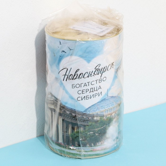 Копилка XXL «Новосибирск», 20 х 12,5 см Копилка XXL «Новосибирск», 20 х 12,5 см