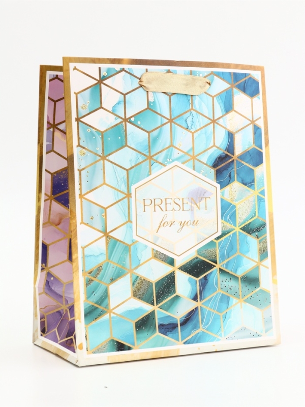 Пакет подарочный вертикальный "PRESENT", 18 х 23 х10 см