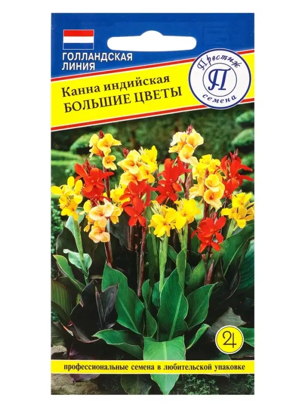 Семена цветов Канна индийская &laquo;Большие цветы&raquo;, 3 шт.