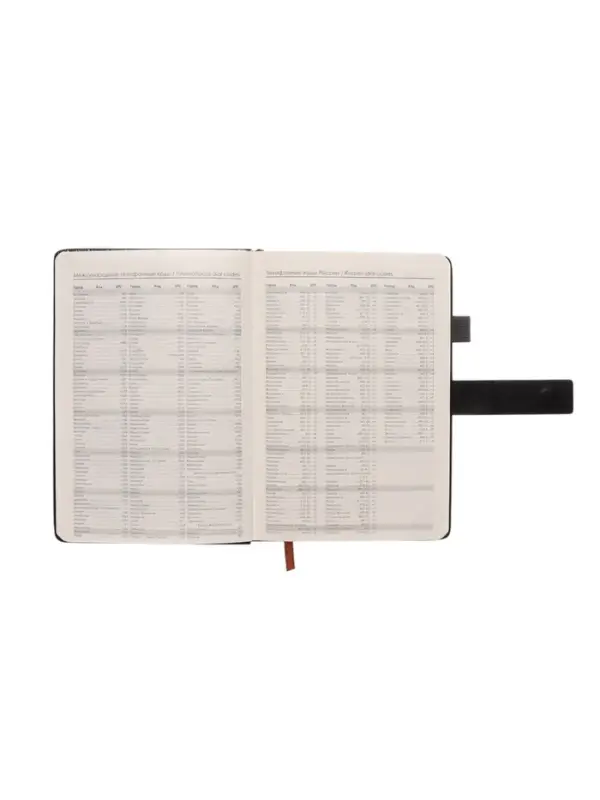 Ежедневник недатированный формат А5, с хлястиком, 112л, линия, держатель, пвх, Черный Ежедневник недатированный формат А5, с хлястиком, 112л, линия, держатель, пвх, Черный