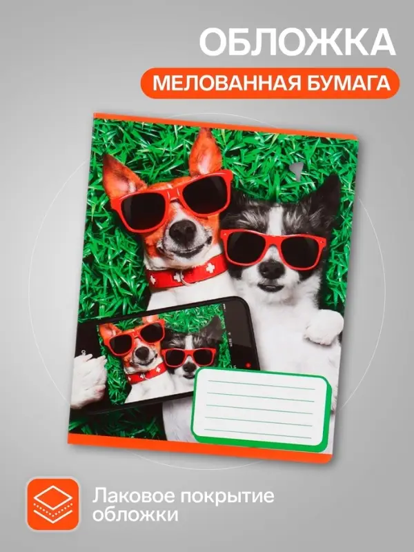 Комплект тетрадей из 10 штук, 12 листов в косую линию Calligrata "СелфиDOG", обложка мелованная бумага, ВД-лак, блок №2, белизна 75% (серые листы), 5 видов по 2 штуки