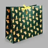 Пакет подарочный &laquo;Яркий&raquo;, XL, 49 х 40 х 19 см