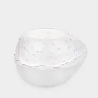 Салатник &laquo;Ракушка&raquo;, 930 мл, 23.5&times;17.5&times;7 см, фигурный, стекло, прозрачный