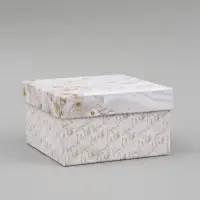 Набор подарочных коробок 10 в 1 &laquo;Золотая коллекция&raquo;, 10.2 &times; 10.2 &times; 6‒28.2 &times; 28.2 &times; 15 см