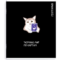 Тетрадь предметнaя ГЕОГРАФИЯ 'КОТЫ МЕМЫ' 48 л., А5+,клетка, справ.инф/69825