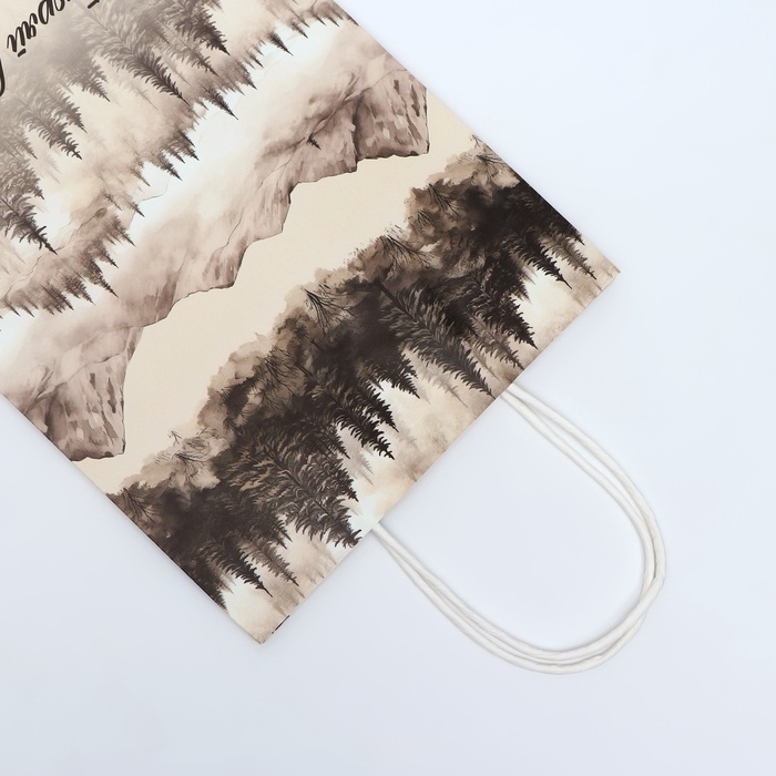 Пакет подарочный крафтовый  Пакет подарочный крафтовый "Покоряй вершины" 27 х 22 х 11 см, 120 г/м²