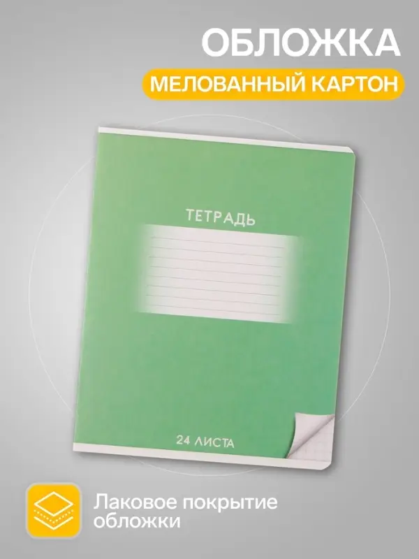 Комплект тетрадей из 10 штук, 24 листа в клетку Calligrata "Школьная", обложка мелованный картон, ВД-лак, блок офсет, 5 видов по 2 штуки