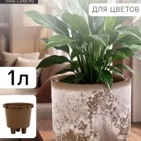 Кашпо для цветов &laquo;Микрит&raquo;, 1 л, d=15 см, h=14 см, со вставкой, пластиковое, бежевое