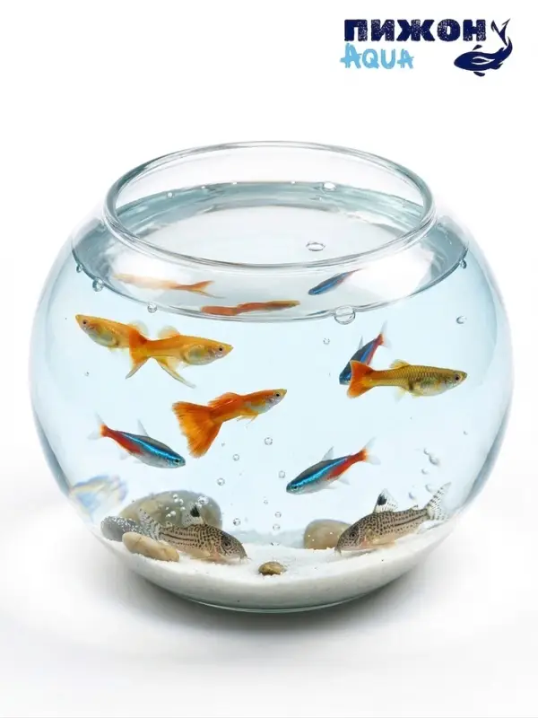 Аквариум круглый, 16&times;17 см, стекло, прозрачный