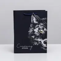 Пакет подарочный ламинированный, упаковка, &laquo;Сильному духом&raquo;, MS 18&times;23&times;10 см