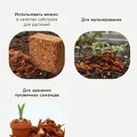Кокосовые чипсы &laquo;Рецепты Дедушки Никиты&raquo;, 1 л