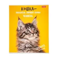 Тетрадь 40л А5ф кл 60-65г/кв.м на скобе Обл. мел.картон  серия -Кот говорит!- МИКС
