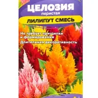 Семена цветов Целозия перистая &laquo;Лилипут&raquo;, смесь,, 0.05 г- 0.1 г, &laquo;Семена Алтая&raquo;