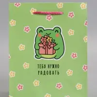 Пакет подарочный ламинированный "Радовать" 18 х 22,3 х 10 см