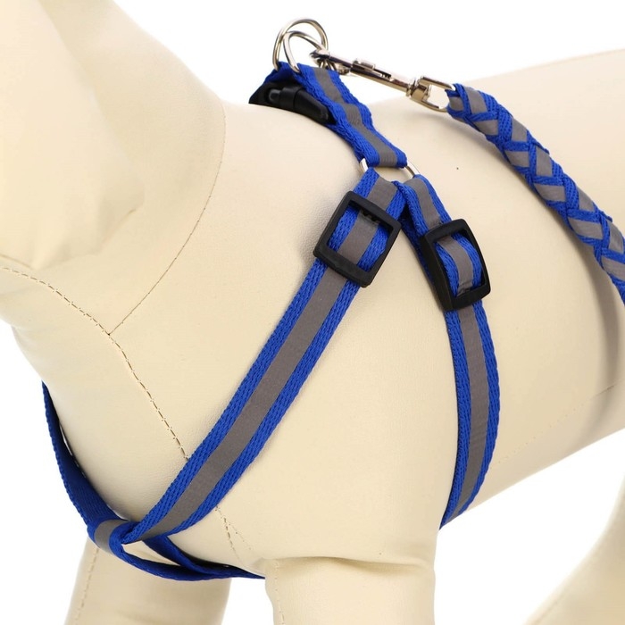 Комплект  Комплект "Плетенка", флуоресцентный, поводок 115 х 1 см, ОГ 32-48 х 1,5 см, синий