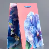 Пакет подарочный ламинированный, &laquo;Взгляд фиалки&raquo;, нежно розовый, 18&times;22.3&times;10 см