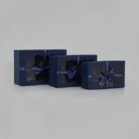Набор подарочных коробок 3 в 1, прямоугольные с окном 23&times;16&times;9.5 21&times;14&times;8.0 19&times;12&times;6.5 см