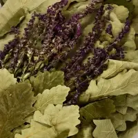 Веник для бани и сауны, дубовый, с шалфеем