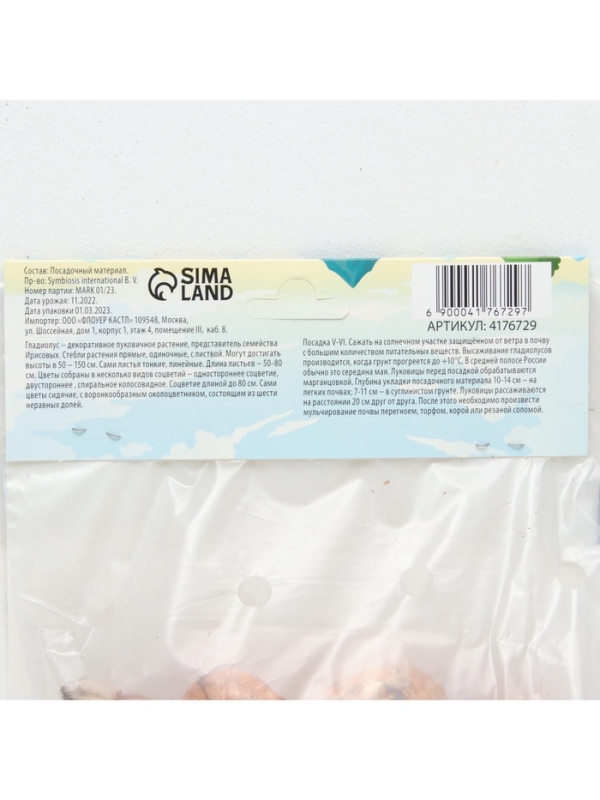 Гладиолус Низкорослый «Галактика», луковица цветов в пакете с перфорацией, р-р 10+, 7 шт.