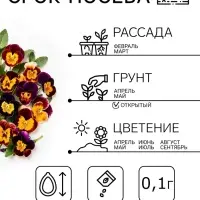 Семена цветов Виола "Шотландия", 0,1 г