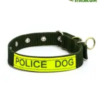 Ошейник двухслойный с вертлюгом, 2.5 см, зелёный