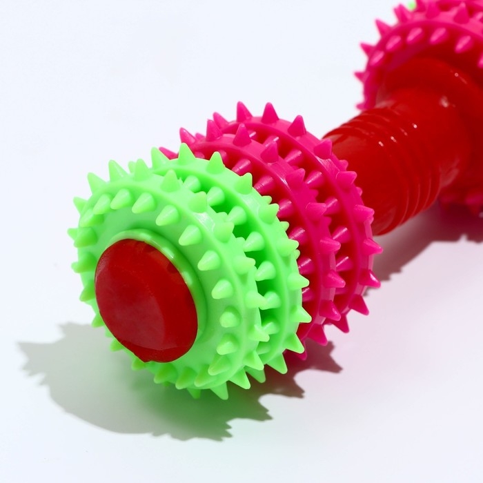 Игрушка жевательная 15,5 х 5,5 см, розовая/зелёная/красная Игрушка жевательная 15,5 х 5,5 см, розовая/зелёная/красная