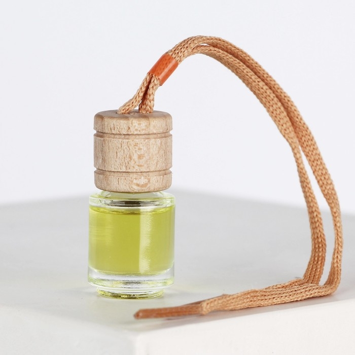 Ароматизатор в автомобиль на 23 Февраля «Самолёт», аромат: цитрус Ароматизатор в автомобиль на 23 Февраля «Самолёт», аромат: цитрус