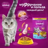 Сухой корм Wiskas для стерилизованных кошек, курица, 800 г