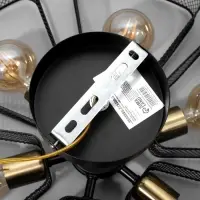 Светильник потолочный BayerLux &laquo;Агава&raquo;, 6хЕ27, 40 Вт, чёрный, 56&times;56&times;23 см