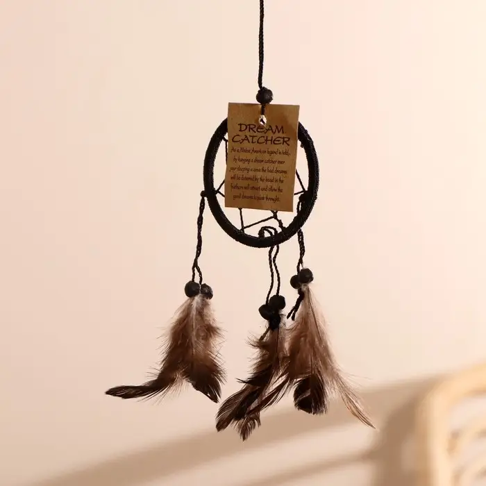 Ловец снов Ловец снов "Гармония" чёрный (коричневые перья) 6х0,5х20 см