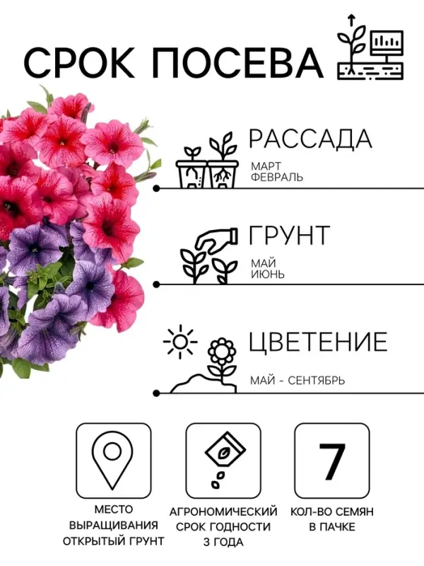 Семена цветов Петуния &laquo;Все звезды&raquo; F1, многоцветковая, смесь, драже, 7 шт. 1094