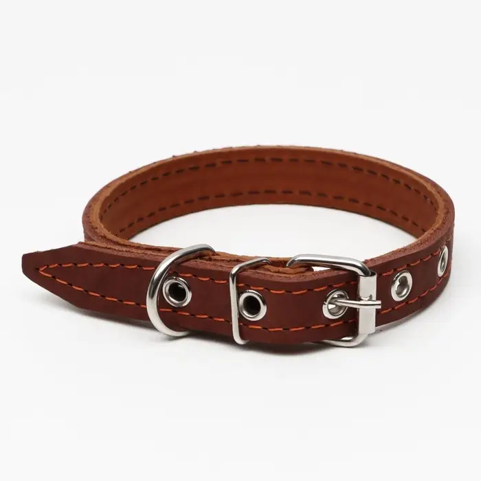 Ошейник кожаный двухслойный, 46&times;2 см, ОШ 25-35 см, коричневый